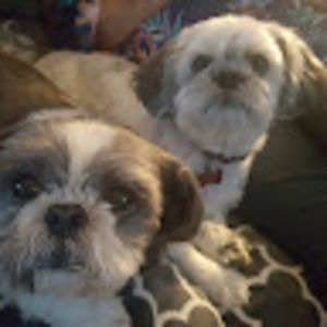 Meet your Posher, Larry